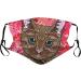 Yliquor 17 Styles Print Mouth Covering Cute Furry Cat Pattern Mouth Washed Reusable Face Cotton Cover for Outdoor Cycling Personal Protection for Men Women (1 pc H) - Buy Online on GoSupps.com