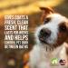 Bath & Brush Therapies Merry Cranberry Pet Cologne 12.5 oz | Long-Lasting Odor Eliminator for Dogs | Cruelty-Free, Paraben-Free, Biodegradable | Made in USA - Buy Online on GoSupps.com