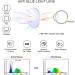 Shop Eye PhD Women's & Men's Anti-Blue Light Glasses HD Lens Diopter +1.0 to +3.0 | Perfect for Computer & Reading Protection - Buy Online on GoSupps.com