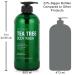 Tea Tree Body Wash & Shower Gel for Jock Itch, Eczema, Ringworm, Body Odor, and Acne - Large 20.2 Fl Oz Bottle - Pack of 2 - Buy Online on GoSupps.com