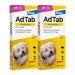 Sparset: Double pack of Park Dogs Tick and flea protection ( 2.5 to 5.5 kg) chewing tablet quickly kills ticks and fleas and protects it for a month easy to administer (3 hours p Pack) Sparset 2x dog 2.5Up to 5.5 kg