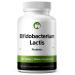 Bifidobacterium Lactis Probiotic Supplement 240 Tablets 3 Billion CFU Probiotics for Men & Women Supports Intestinal Digestive & Gut Health (240 Bifidobacterium Lactis) Bifidobacterium Lactis 1 Count (Pack of 240)
