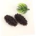 KICHOUSE 6pcs Mini Sea Cucumber Photo Props Science Educational Playthings Cognitive Model Food Fridge Magnet - Buy Online on GoSupps.com
