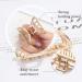 Brinie Gold Hair Claw Clips - Mini Non-Slip Hair Accessories for Women and Girls (2 PCS) - Buy Online on GoSupps.com
