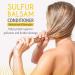 Dr. Robaina Sulfur Balsam Conditioner - Shea Butter & Tea Tree Moisturizer for Hair and Scalp - Beauty & Personal Care - Buy Online on GoSupps.com