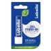 Labello Lip Care for Soft Delicate Lips - 4.8g | International Shipping Available - Buy Online on GoSupps.com