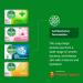 Dettol Anti-Bacterial Hand and Body Soap 12-Pack Variety Set - 4 Scents 100g Each - Buy Online on GoSupps.com