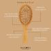 Regrowz Bamboo Paddle Hair Brush with Round Bristles - Detangling & Scalp Massage - Eco-Friendly & Unique - Buy Online on GoSupps.com