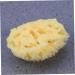 HAPINARY Bath Shower Sponge Bath Sponge Baby Seaweed Honeycomb - Buy Online on GoSupps.com