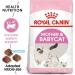 Royal Canin Mother and Babycat Dry Cat Food 2kg - Buy Online on GoSupps.com