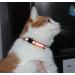 Reflective Cat Collar Set - 6 Pack of Safe Breakaway Collars with Bells | Nylon Mixed Colors | Free Replacement | Upgraded Version - Buy Online on GoSupps.com