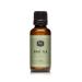 P&J Trading Fragrance Oil | Chai Tea Oil 30ml - Candle Scents for Candle Making Freshie Scents Soap Making Supplies Diffuser Oil Scents