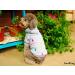 Cozy Fleece Dog Sweater & Hoodie Pajama - Fluffy Cat Sweater for Small & Medium Breeds - Ideal for French Bulldogs Dachshunds & Chihuahuas - Gray - Buy Online on GoSupps.com