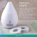 Buy SpaRoom Mini Scentifier Essential Oil Fan Diffuser Refill Pads - Pack of 6 | International Shipping Available - Buy Online on GoSupps.com