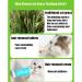 Cat Grass Teething Stick Cat Grass Teething Stick Hairballs Cat Grass Teething Sticks for Indoor Cats Cat Teeth Cleaning Cat Grass Stick for Cadental Care Increase Appetite (18pcs) - Buy Online on GoSupps.com