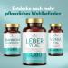 Solvisan Liver Vital - 3-Fold Complex with Choline Milk Thistle (80% Silymarin) Artichokes & Dandelion - 120 Capsules for Optimal Liver Health - Buy Online on GoSupps.com