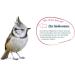 Elles Dried Mealworms 125g - 100% Natural Protein Delicacy for Wild Birds | Energy-Rich Shell-Free | Ideal for Year-Round Feeding - 1 Pack - Buy Online on GoSupps.com