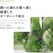 Botanical Esthe Pure Essence Balancing Mask - 10Sheets - Buy Online on GoSupps.com