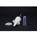 30ml Amber Glass Nasal Sprayer for Intranasal Insulin, Colloidal Silver, and Saline Solutions - Snoot! Brand - Refillable & Reusable - Buy Online on GoSupps.com