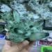 Room Decoration 300-800g Natural Green Ghost Phantom Quartz Crystal Cluster Rock Stones and Crystals Specimen Home Decor NaturalReiki Decoration (Size : 200-300g)