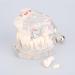 Boxwizard Tooth Model for Dentistry Students | Typodont Dental Diseases Teaching Aid - Adult Demonstration Tooth Model - Buy Online on GoSupps.com