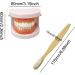 Honbay Standard Teeth Model with Toothbrush | Adult Dental Demonstration Teaching Supplies - Buy Online on GoSupps.com