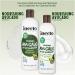 Inecto Avocado Shampoo and Conditioner Set Natural Sulfate Free Shampoo with Avocado Oil Avocado Shampoo & Conditioner - Buy Online on GoSupps.com