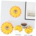 Yardenfun Hanging Wall Art Wall Hanging Home Decor 3d Flowers for Wall Decoration 3d Wall Art Decoration Manual Pare 21x21cm Yellow - Buy Online on GoSupps.com