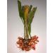 USDA Organic Turmeric Whole Raw Root - 1 Pound Pack - Pure and Natural - Buy Online on GoSupps.com