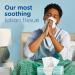 Puffs Plus Lotion Facial Tissues - 24 Family Boxes, 2976 Total Tissues - 6 Count (Pack of 4) - Buy Online on GoSupps.com