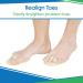 ViveSole Double Hammer Toe Splint Pair - Toe Corrector for Women - Budin Toe Straightener - Bunion Separators - Big Toe Brace Wraps for Men (1 Pair) - Buy Online on GoSupps.com