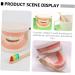 Minkissy Educational Tooth Model Set for Kids | Early Dental Hygiene Teaching Toy | Reusable ABS Prosthesis & Dentures Model - Buy Online on GoSupps.com