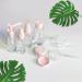 12-Piece Travel Bottle Set - Portable Cosmetics Containers for Home & Business Trips - Pink Travel Size Bottles - Buy Online on GoSupps.com