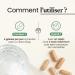 FENUGREC | Hautement Concentr : Extrait 20:1 | Titr 50% en Saponine | 120 G lules | 2000 mg par Dose | R gulation de la Glyc mie Digestion et App tit | Made in France | Terravita - Buy Online on GoSupps.com