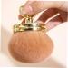 Beatifufu Fluffy and Soft Makeup Brush Fluffy Makeup Brush Blush Brush Travel Makeup Brushes Blush Makeup Brush Cosmetic Brush Setting Powder Brush for Loose Powder Blush for Makeup Plastic 8.50X7.00X7.00CM Golden - Buy Online on GoSupps.com