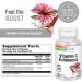 SOLARAY Vitamin C & Echinacea Root - Immune System Support | 500mg VIT C & 300mg Echinacea | Non-GMO, Vegan | 120 VegCaps - Buy Online on GoSupps.com