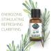 Garden of Life 100% Organic Rosemary Essential Oil - 15ml | Pure, Undiluted, Non-GMO for Diffuser & Aromatherapy - Buy Online on GoSupps.com