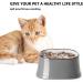 Y YHY Tilted Slow Feeder Cat Bowl with Elevated Design - Fish Bone Shape for Dry and Wet Food - Dog Bowl with No Black Chin - Buy Online on GoSupps.com
