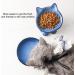 Ceramic Elevated Cat/Dog Bowls Set - Blue & Black, 4.5oz + 8oz - Protects Pet's Spine - Feeding & Watering Supplies - Buy Online on GoSupps.com