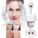 Hot Mist Face Steamer Multi-Functional Face Steamer Mini Portable for Desk Dressing-Table(US standard 110V) - Buy Online on GoSupps.com