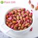 PlantGift Wlid Peach Blossom Flowers Dried 80G/2.82oz Health Tea Marigold Tea Pure Herbal Tea Peach Blossom Tea Caffeine-Free No GMOs Chinese Tea - Buy Online on GoSupps.com