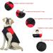 Femax Waterproof Dog Coat - Warm Winter Jacket for Small Medium & Large Dogs | Cold Weather Padded Vest - Red XXL (50cm Chest 45cm Back) - Buy Online on GoSupps.com