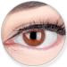 Glamlens Silicone Comfort soft brown contact lenses without strength - blue dark blue black gray green eyes - with contact lens tank.2 colored chocolate brown 3 monthly lenses