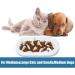Interactive Slow Feeder Cat Bowl - HICOMIE Pet Fun Bowl for Stress-Free Eating, Prevents Obesity and Improves Digestion - White Fish Design - Buy Online on GoSupps.com