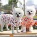 Shop Hualisiji Small Dog Clothing - Summer Chihuahua Dress for Comfort & Style (L White) - Perfect for Small to Medium Dogs - Buy Online on GoSupps.com