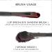 10pcs Makeup Brush Eye Shadow Applicator Beauty Tools for Double-Headed Brush Black Pole Eyelashes Cosmetic Tool - Buy Online on GoSupps.com