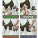 Qrity Cat Care Pocket & Dog Hammock Set S Hooks for Nail Cutting & Fur Care | Green - Buy Online on GoSupps.com