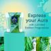 Glade Scented Candle Empower Mint Air Freshener Infused with Essential Oils 1-Wick Candle 1 Count - Buy Online on GoSupps.com