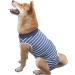 Tineer Dog Recovery Suit XXXL Blue Stripe | Abdominal Wound Protector for Pets | Post-Surgery Wear for Cats & Dogs - Buy Online on GoSupps.com