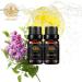 Aromatherapy Lemon Essential Oil Set for Diffuser 100% Pure Clove Essential Oil Fragrance Set for Humidifier 2x10ml 100% Pure Lemon Essential Oils Aromatherapy Clove Oils Set for Air Freshener - Buy Online on GoSupps.com